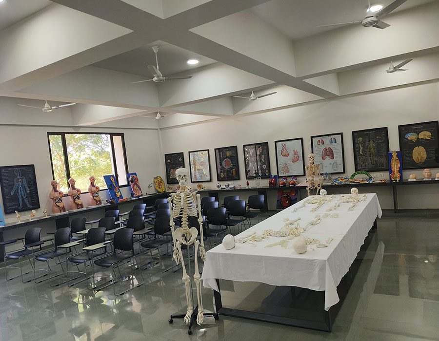 lab